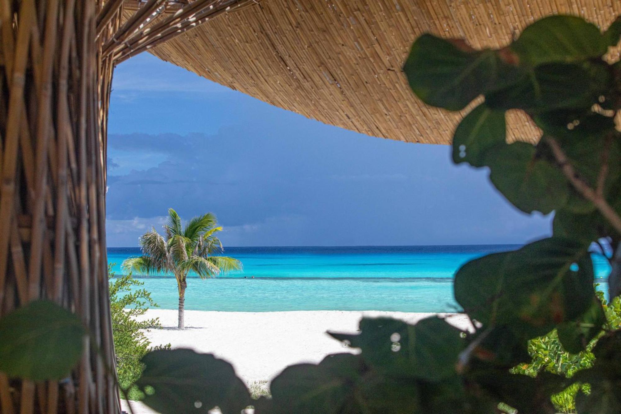 Palmaia The House Of Aia All Inclusive Wellness Resort Los Dos Compadres Extérieur photo